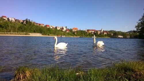 Apartmani Lalita - Fužine