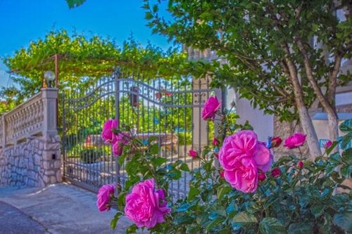 Apartmani Vila Mira - Novi Vinodolski
