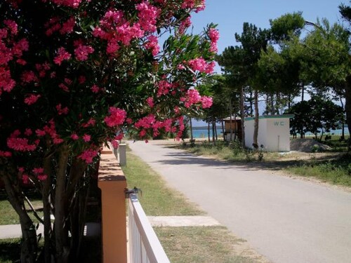 Apartmani Lora - Sabunike
