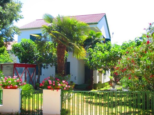 Apartman Pedisic - Sveti Filip i Jakov