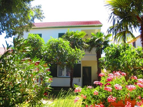 Apartman Pedisic - Sveti Filip i Jakov