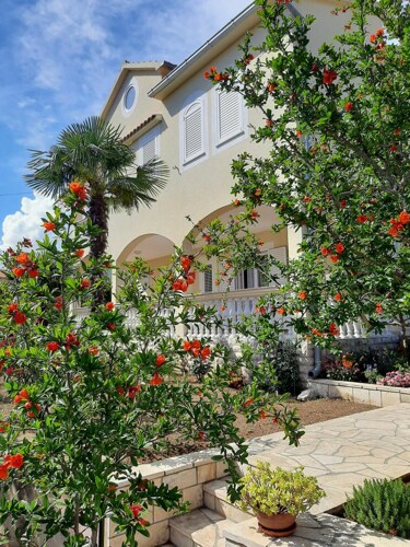 Apartmani Duzelovi Dvori - Vodice