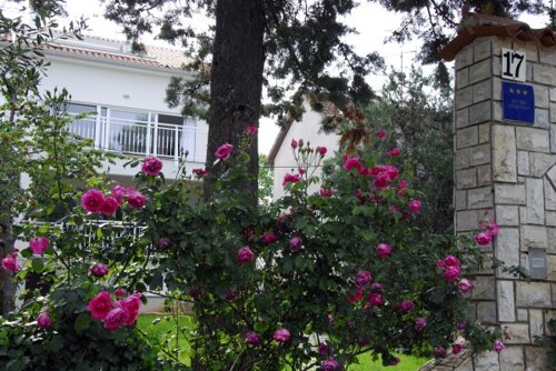 Apartmani Maslina - Fažana