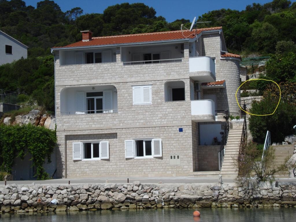 Image 3810859 - 1