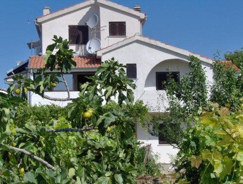 Apartmani Antonela - Tribunj