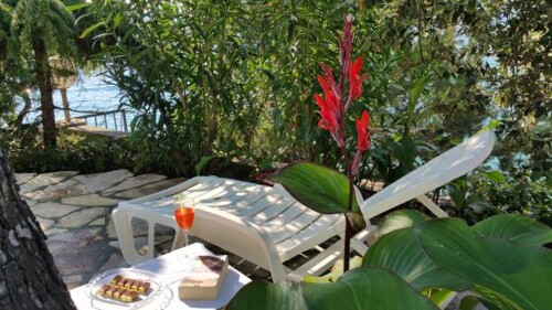 Apartman Villa Peggy - Šolta Maslinica