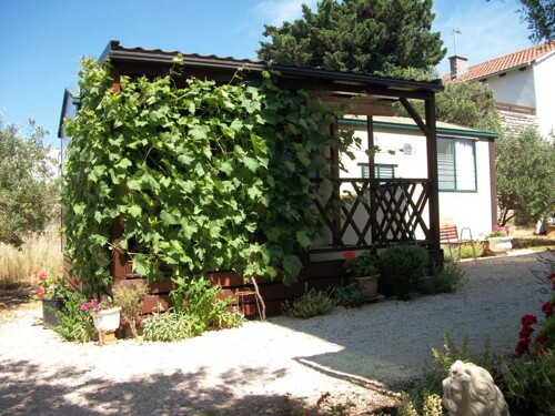 Apartmani Sinjal - Pakoštane