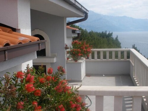 Apartmani Mira - Mimice