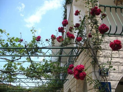 Apartmani Love - Tučepi