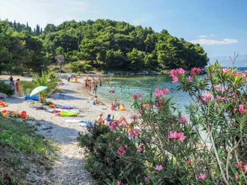 Apartmani Ljubica - Trpanj