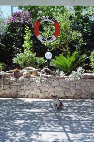 Apartmani Villa Neda - Sevid