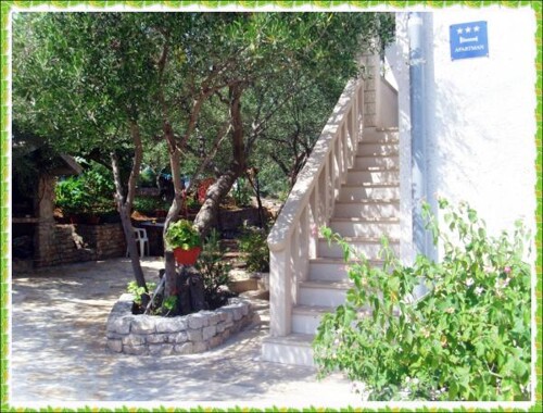 Apartmani Jure - Brač Postira