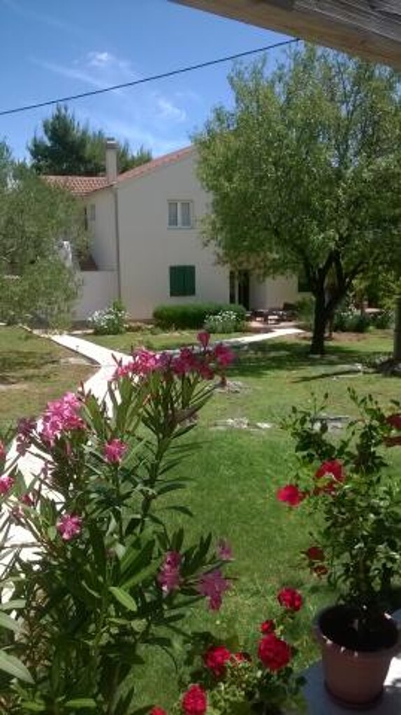 Image 3811890 - 10