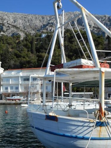 Apartman Jelena - Mimice