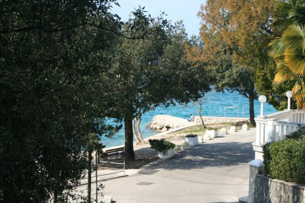 Image 3812722 - 11