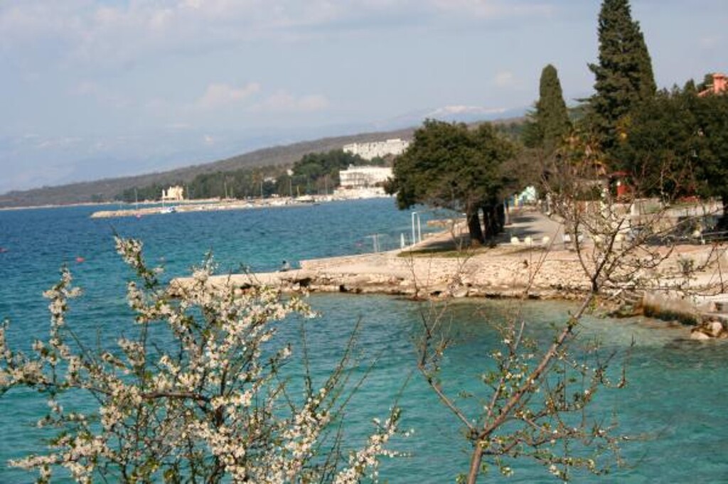 Image 3812722 - 10