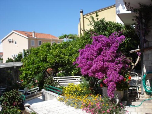 Apartmani Minka i Vite - Podgora
