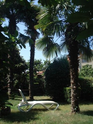 Apartmani Odak - Rovinj