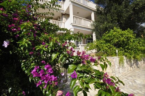 Apartmani Villa Miirma - Orebić