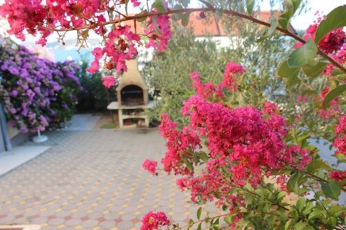 Apartmani Ivanković - Rogoznica