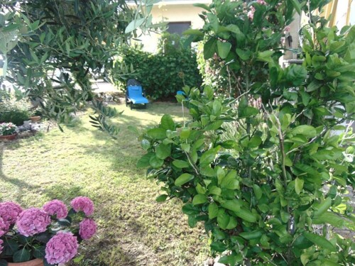 Apartmani Luka - Privlaka