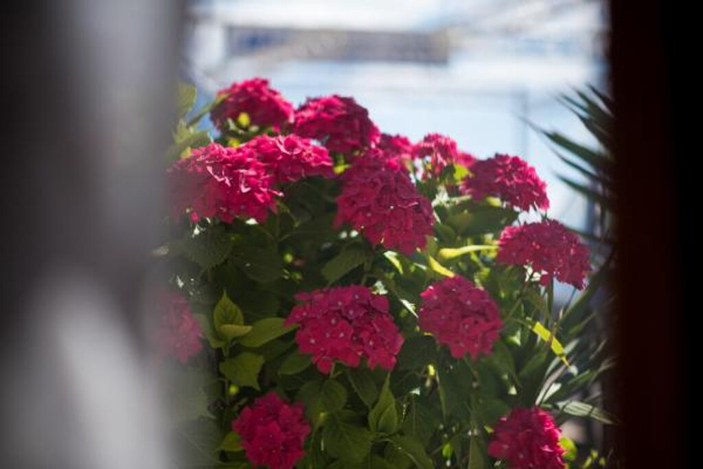 Image 3814512 - 10