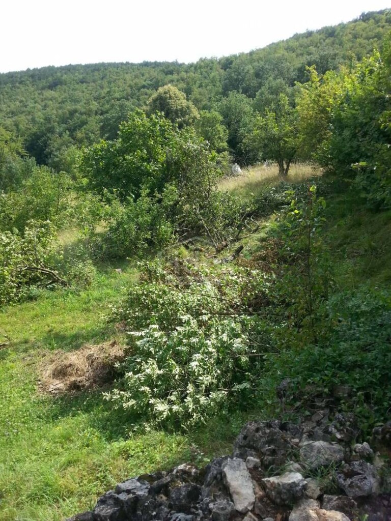 Image 3823543 - 3
