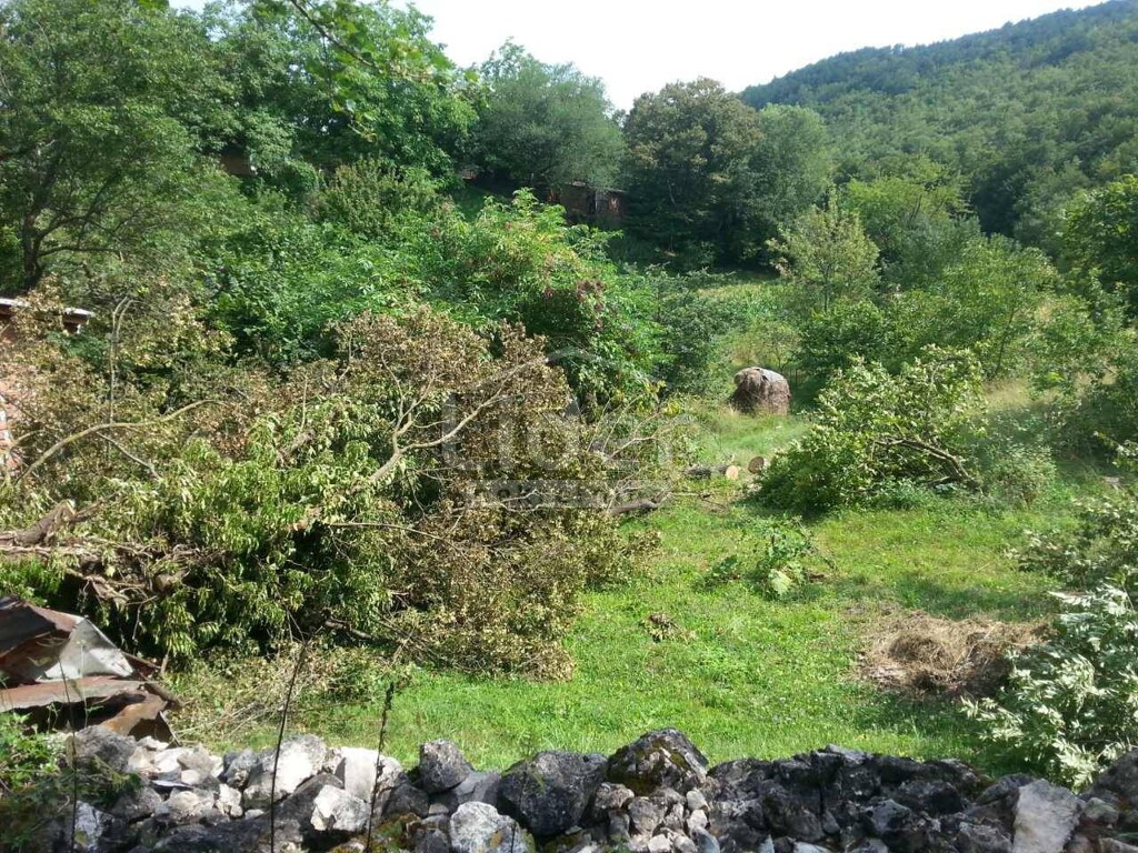 Image 3823543 - 1