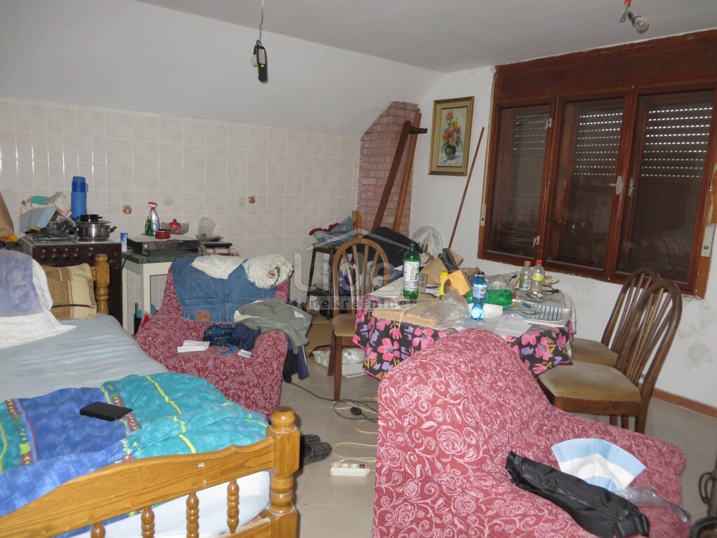 Image 3823573 - 11
