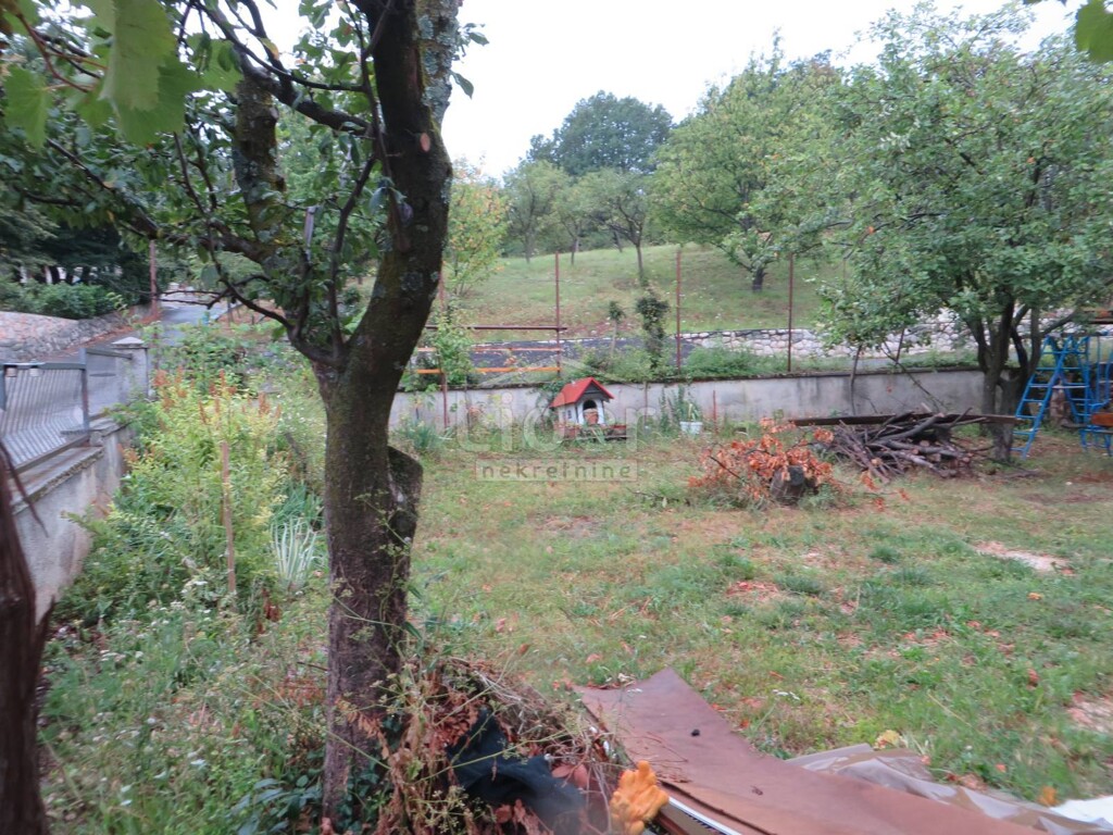 Image 3823573 - 2