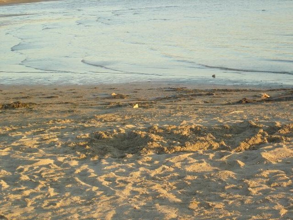 Image 3838479 - 23