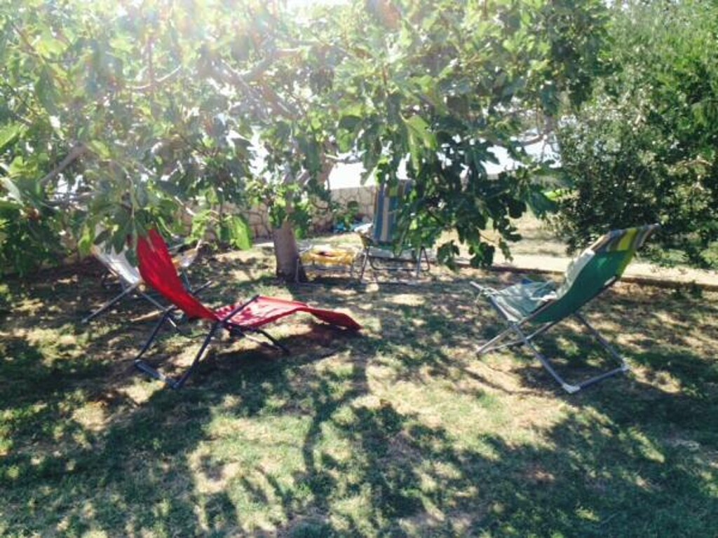 Image 3838479 - 14