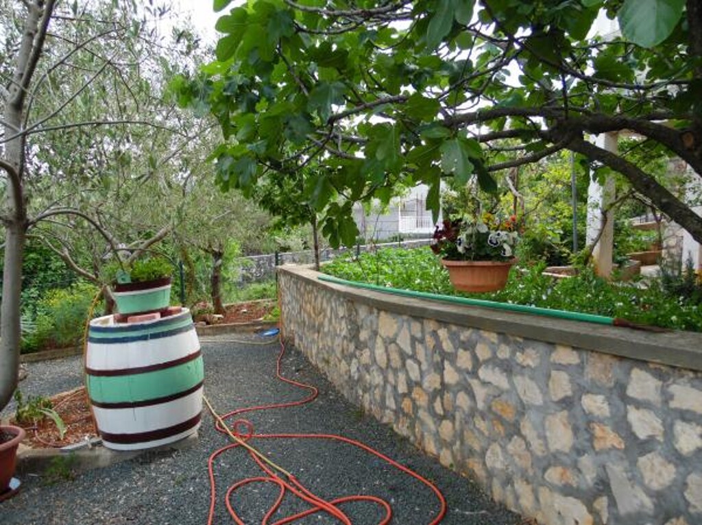 Image 3838486 - 12