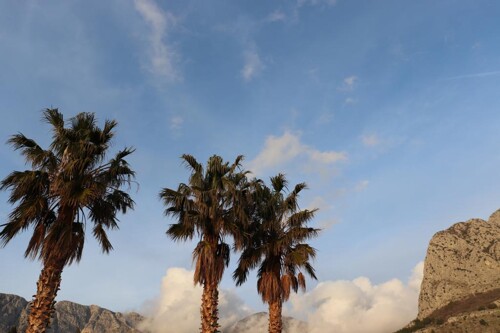 Thumbnail 3839131 - 11