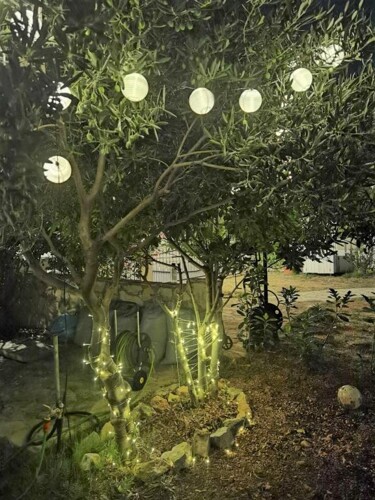 Thumbnail 3839388 - 14