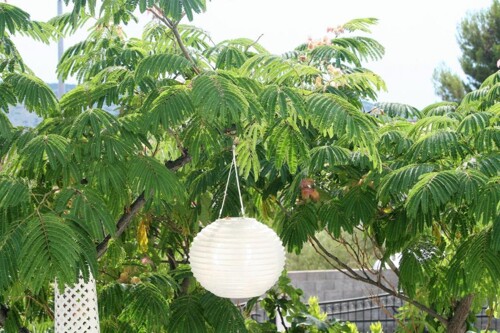 Thumbnail 3839388 - 15