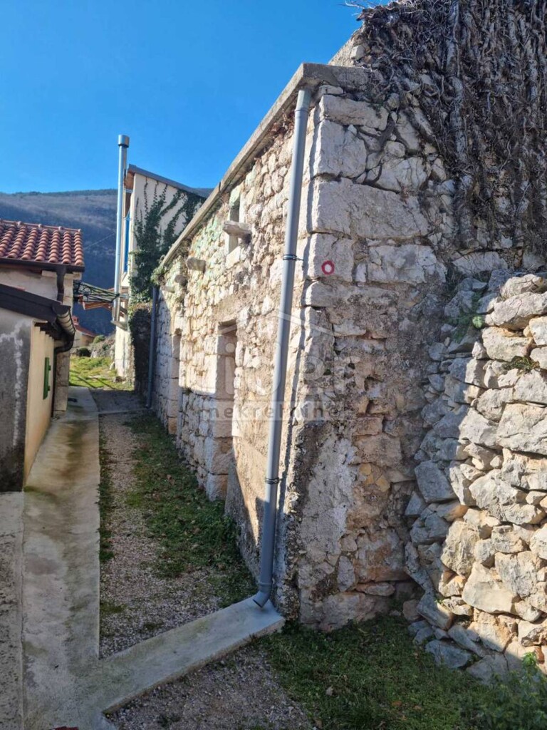 Image 3840421 - 8
