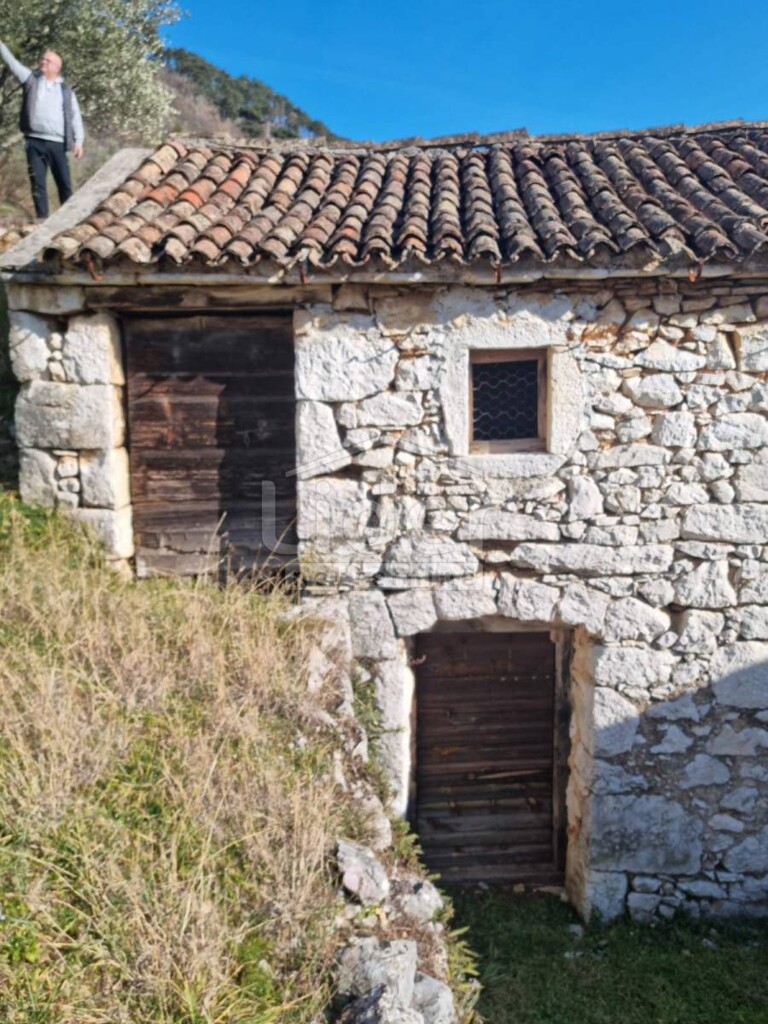 Image 3840421 - 9