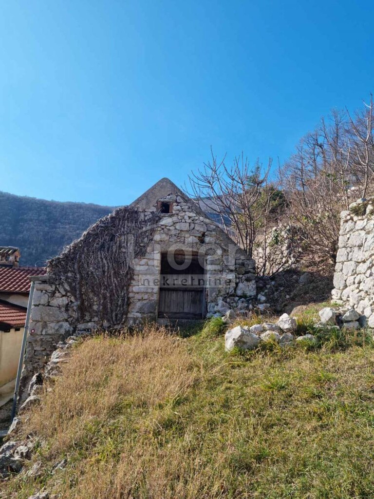 Image 3840421 - 3