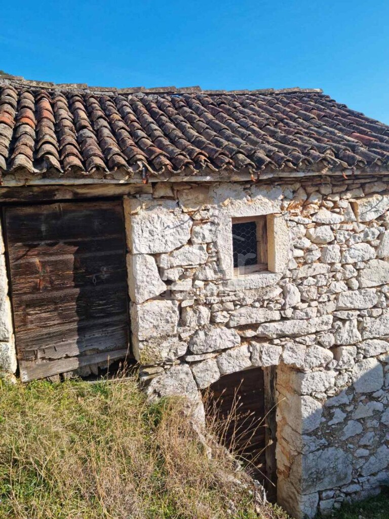 Image 3840421 - 7