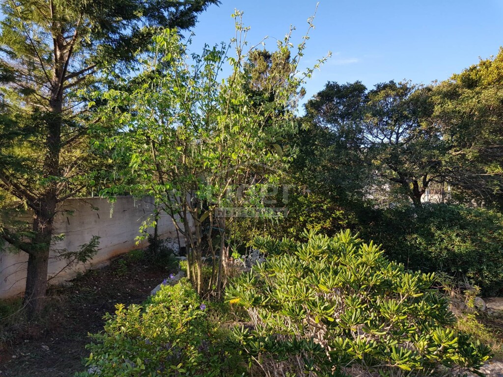 Image 3846844 - 18