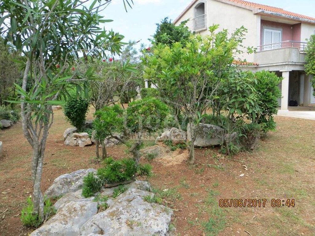 Image 3846844 - 9
