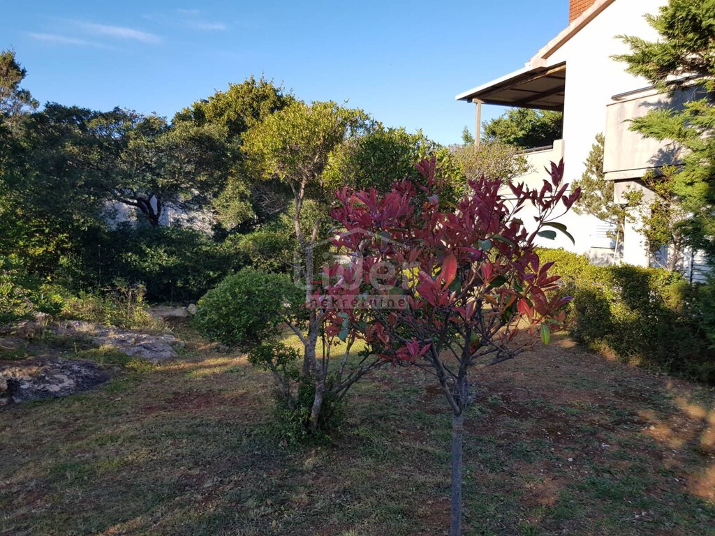 Image 3846844 - 17