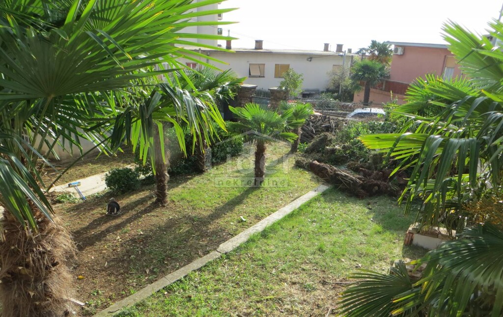 Image 3846845 - 17