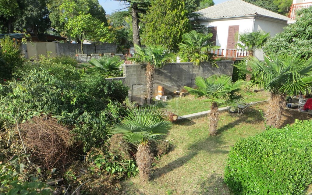 Image 3846845 - 16