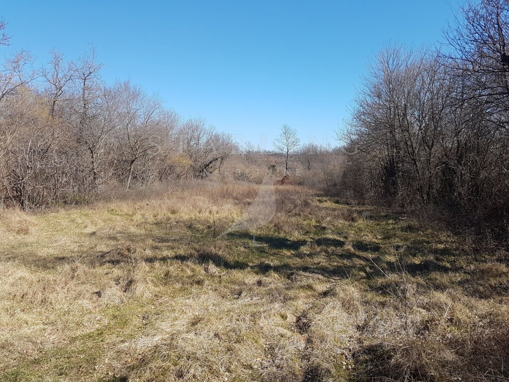 Image 3863710 - 1