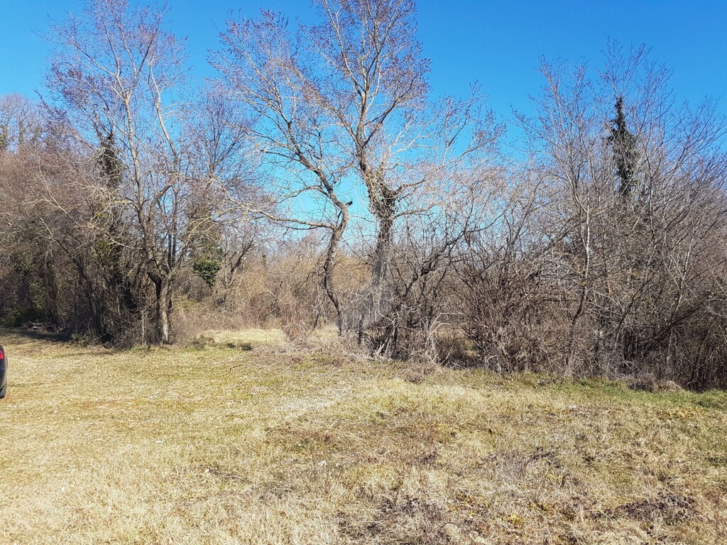 Image 3863710 - 2