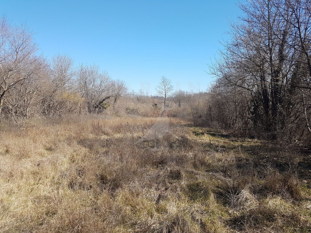 Image 3863710 - 3