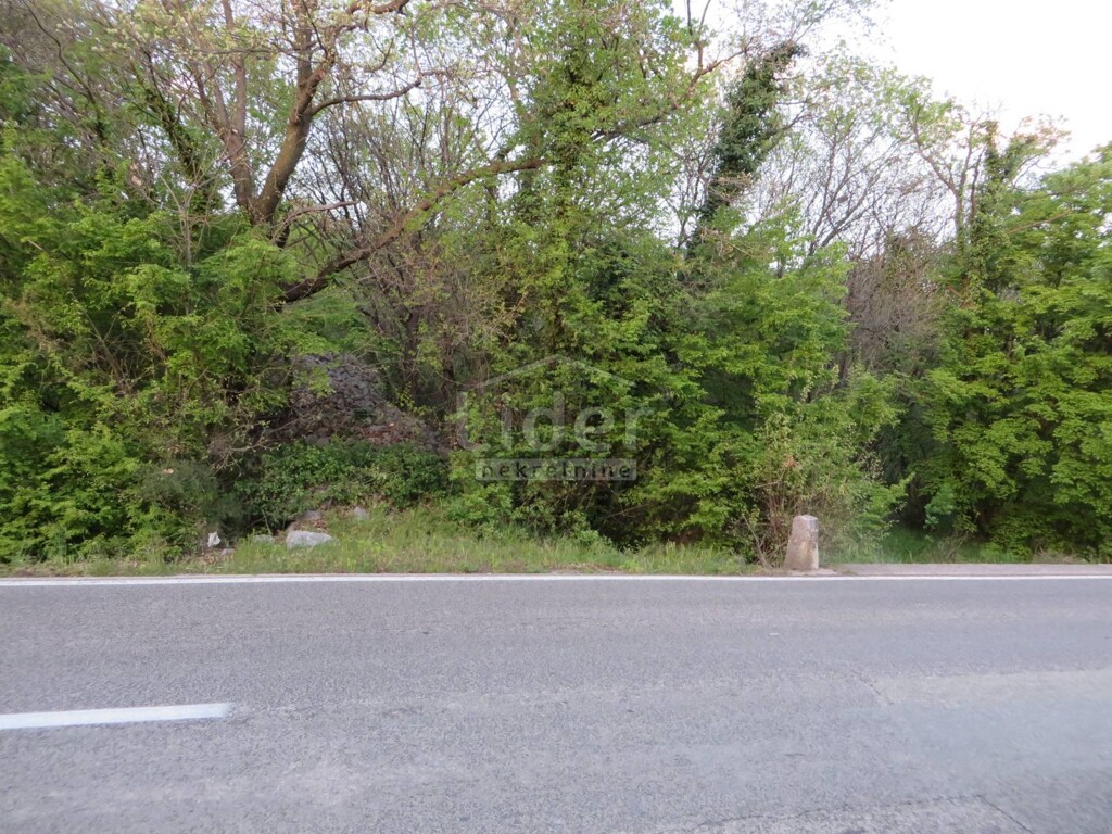 Image 3869471 - 1