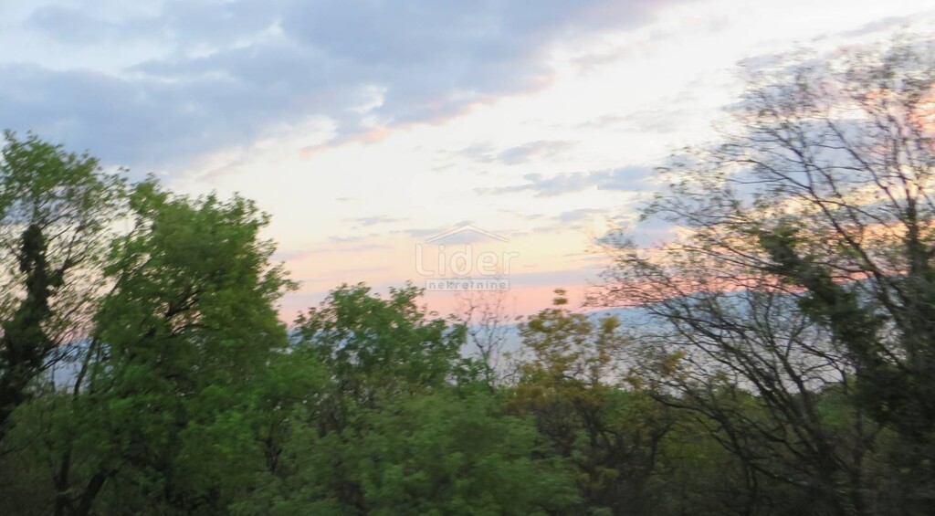 Image 3869472 - 2